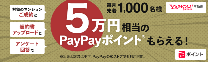 PayPayポイント